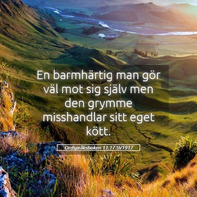 Picture 05 - Ordspråksboken 11:17 SV1917 - En barmhärtig man gör väl mot sig själv men - Bible Verse Picture