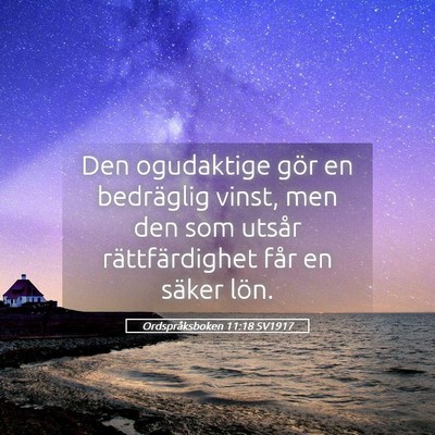 Picture 05 - Ordspråksboken 11:18 SV1917 - Den ogudaktige gör en bedräglig vinst, men den - Bible Verse Picture
