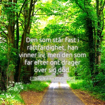 Picture 05 - Ordspråksboken 11:19 SV1917 - Den som står fast i rättfärdighet, han vinner - Bible Verse Picture