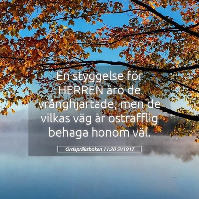 Picture 05 - Ordspråksboken 11:20 SV1917 - En styggelse för HERREN äro de vrånghjärtade, - Bible Verse Picture