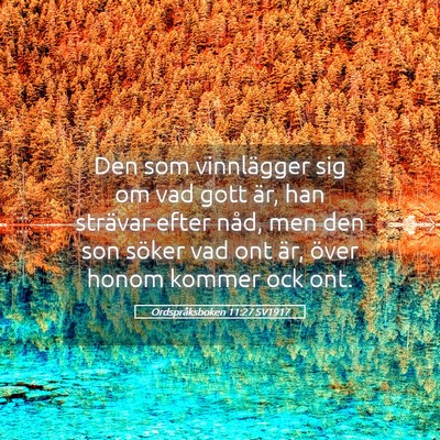 Picture 05 - Ordspråksboken 11:27 SV1917 - Den som vinnlägger sig om vad gott är, han - Bible Verse Picture