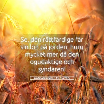 Picture 05 - Ordspråksboken 11:31 SV1917 - Se, den rättfärdige får sin lön på jorden; - Bible Verse Picture