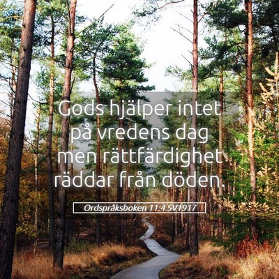 Picture 05 - Ordspråksboken 11:4 SV1917 - Gods hjälper intet på vredens dag men - Bible Verse Picture