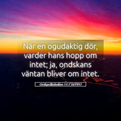 Picture 05 - Ordspråksboken 11:7 SV1917 - När en ogudaktig dör, varder hans hopp om - Bible Verse Picture