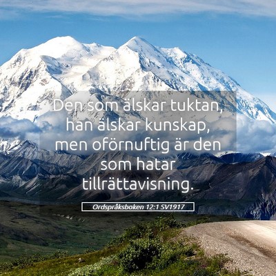 Picture 05 - Ordspråksboken 12:1 SV1917 - Den som älskar tuktan, han älskar kunskap, men - Bible Verse Picture