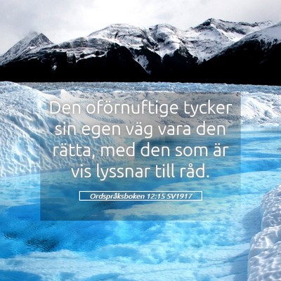 Picture 05 - Ordspråksboken 12:15 SV1917 - Den oförnuftige tycker sin egen väg vara den - Bible Verse Picture