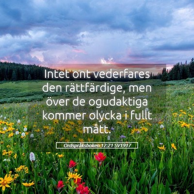 Picture 05 - Ordspråksboken 12:21 SV1917 - Intet ont vederfares den rättfärdige, men över - Bible Verse Picture