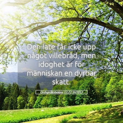 Picture 05 - Ordspråksboken 12:27 SV1917 - Den late får icke upp något villebråd, men - Bible Verse Picture