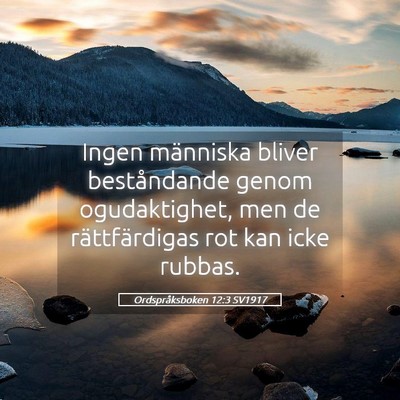 Picture 05 - Ordspråksboken 12:3 SV1917 - Ingen människa bliver beståndande genom - Bible Verse Picture