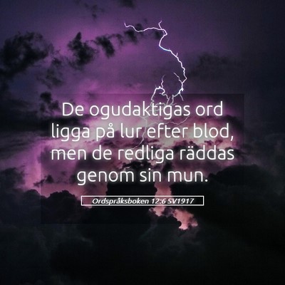 Picture 05 - Ordspråksboken 12:6 SV1917 - De ogudaktigas ord ligga på lur efter blod, men - Bible Verse Picture