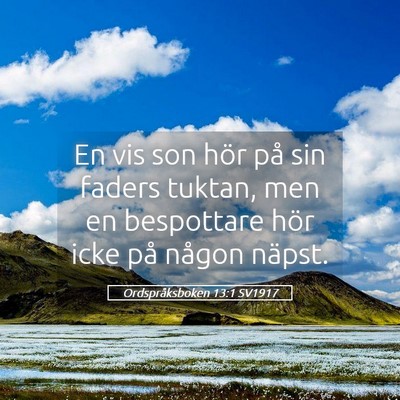 Picture 05 - Ordspråksboken 13:1 SV1917 - En vis son hör på sin faders tuktan, men en - Bible Verse Picture