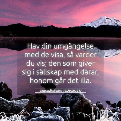 Picture 05 - Ordspråksboken 13:20 SV1917 - Hav din umgängelse med de visa, så varder du - Bible Verse Picture
