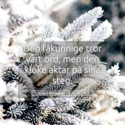 Picture 05 - Ordspråksboken 14:15 SV1917 - Den fåkunnige tror vart ord, men den kloke aktar - Bible Verse Picture