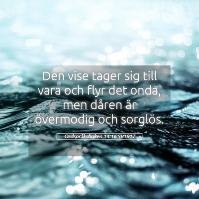 Picture 05 - Ordspråksboken 14:16 SV1917 - Den vise tager sig till vara och flyr det onda, - Bible Verse Picture