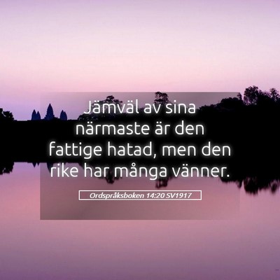 Picture 05 - Ordspråksboken 14:20 SV1917 - Jämväl av sina närmaste är den fattige hatad, - Bible Verse Picture