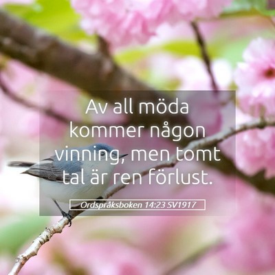 Picture 05 - Ordspråksboken 14:23 SV1917 - Av all möda kommer någon vinning, men tomt tal - Bible Verse Picture