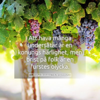 Picture 05 - Ordspråksboken 14:28 SV1917 - Att hava många undersåtar är en konungs - Bible Verse Picture