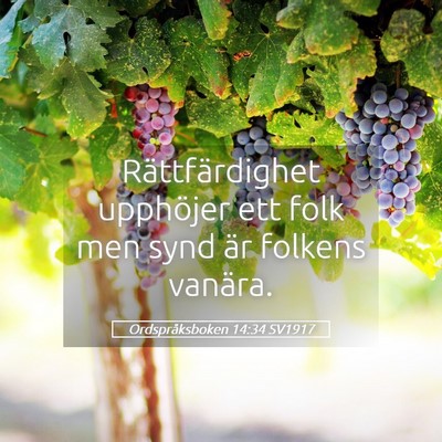 Picture 05 - Ordspråksboken 14:34 SV1917 - Rättfärdighet upphöjer ett folk men synd är - Bible Verse Picture