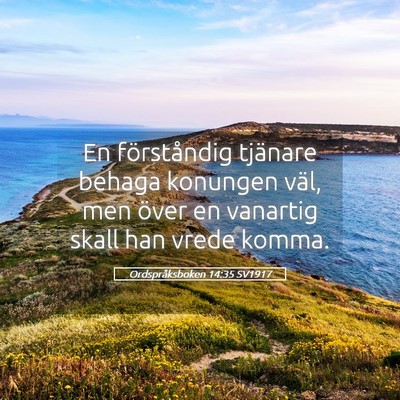 Picture 05 - Ordspråksboken 14:35 SV1917 - En förståndig tjänare behaga konungen väl, - Bible Verse Picture