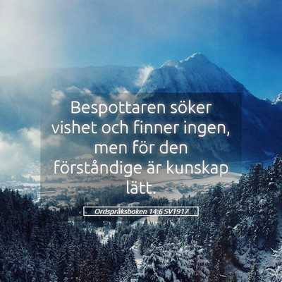 Picture 05 - Ordspråksboken 14:6 SV1917 - Bespottaren söker vishet och finner ingen, men - Bible Verse Picture