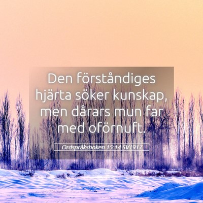 Picture 05 - Ordspråksboken 15:14 SV1917 - Den förståndiges hjärta söker kunskap, men - Bible Verse Picture