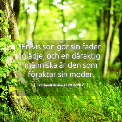Picture 05 - Ordspråksboken 15:20 SV1917 - En vis son gör sin fader glädje, och en - Bible Verse Picture