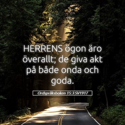 Picture 05 - Ordspråksboken 15:3 SV1917 - HERRENS ögon äro överallt; de giva akt på - Bible Verse Picture