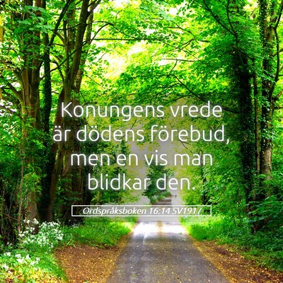 Picture 05 - Ordspråksboken 16:14 SV1917 - Konungens vrede är dödens förebud, men en vis - Bible Verse Picture