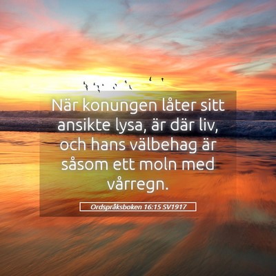 Picture 05 - Ordspråksboken 16:15 SV1917 - När konungen låter sitt ansikte lysa, är där - Bible Verse Picture