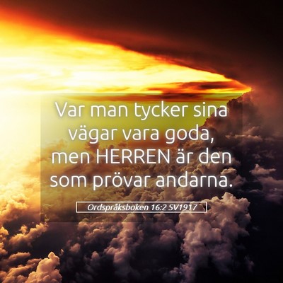 Picture 05 - Ordspråksboken 16:2 SV1917 - Var man tycker sina vägar vara goda, men HERREN - Bible Verse Picture