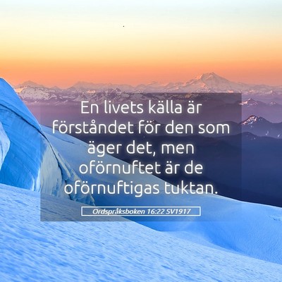 Picture 05 - Ordspråksboken 16:22 SV1917 - En livets källa är förståndet för den som - Bible Verse Picture