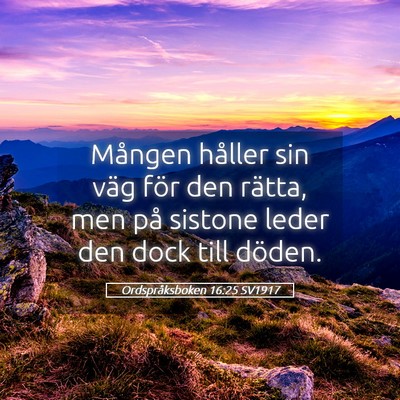 Picture 05 - Ordspråksboken 16:25 SV1917 - Mången håller sin väg för den rätta, men på - Bible Verse Picture