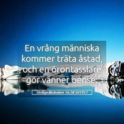 Picture 05 - Ordspråksboken 16:28 SV1917 - En vrång människa kommer träta åstad, och en - Bible Verse Picture