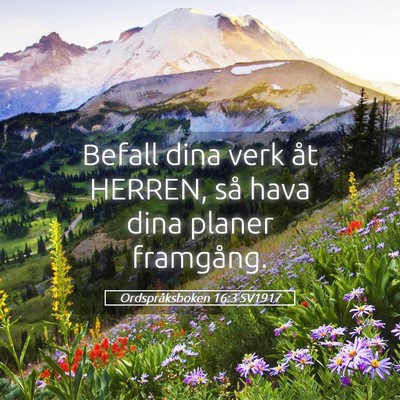 Picture 05 - Ordspråksboken 16:3 SV1917 - Befall dina verk åt HERREN, så hava dina planer - Bible Verse Picture