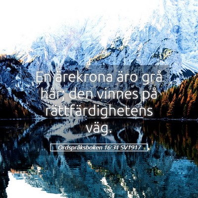 Picture 05 - Ordspråksboken 16:31 SV1917 - En ärekrona äro grå hår; den vinnes på - Bible Verse Picture