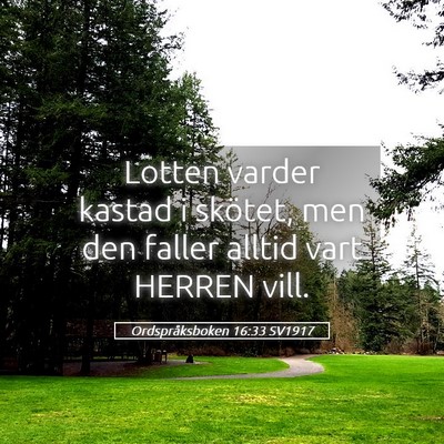 Picture 05 - Ordspråksboken 16:33 SV1917 - Lotten varder kastad i skötet, men den faller - Bible Verse Picture