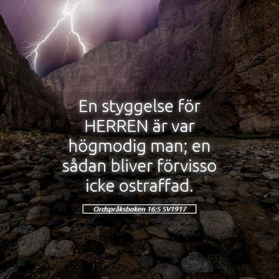 Picture 05 - Ordspråksboken 16:5 SV1917 - En styggelse för HERREN är var högmodig man; - Bible Verse Picture