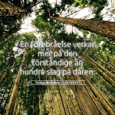 Picture 05 - Ordspråksboken 17:10 SV1917 - En förebråelse verkar mer på den förståndige - Bible Verse Picture