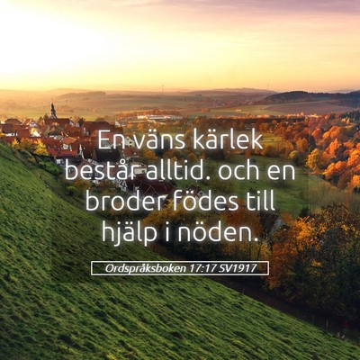 Picture 05 - Ordspråksboken 17:17 SV1917 - En väns kärlek består alltid. och en broder - Bible Verse Picture