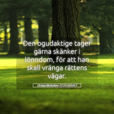 Picture 05 - Ordspråksboken 17:23 SV1917 - Den ogudaktige tager gärna skänker i lönndom, - Bible Verse Picture