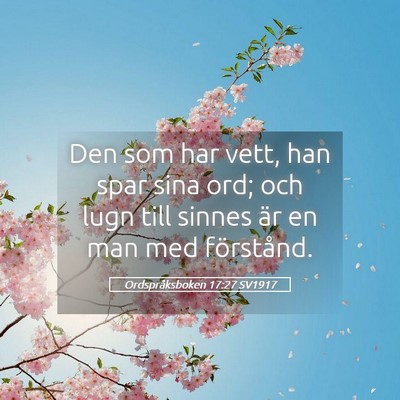 Picture 05 - Ordspråksboken 17:27 SV1917 - Den som har vett, han spar sina ord; och lugn - Bible Verse Picture