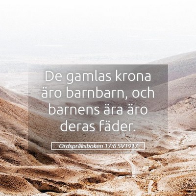 Picture 05 - Ordspråksboken 17:6 SV1917 - De gamlas krona äro barnbarn, och barnens ära - Bible Verse Picture