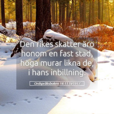 Picture 05 - Ordspråksboken 18:11 SV1917 - Den rikes skatter äro honom en fast stad, höga - Bible Verse Picture