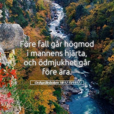 Picture 05 - Ordspråksboken 18:12 SV1917 - Före fall går högmod i mannens hjärta, och - Bible Verse Picture
