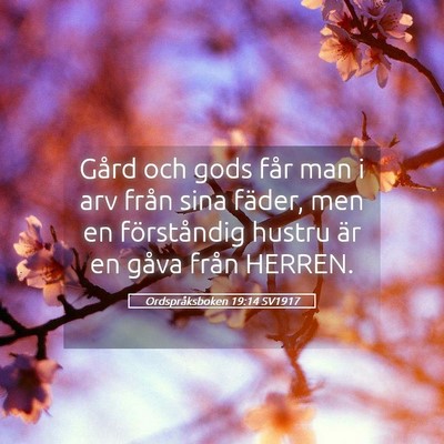 Picture 05 - Ordspråksboken 19:14 SV1917 - Gård och gods får man i arv från sina fäder, - Bible Verse Picture