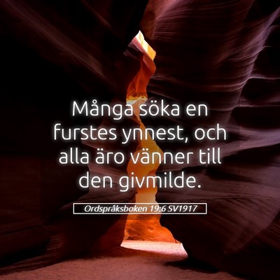 Picture 05 - Ordspråksboken 19:6 SV1917 - Många söka en furstes ynnest, och alla äro - Bible Verse Picture