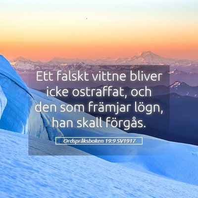 Picture 05 - Ordspråksboken 19:9 SV1917 - Ett falskt vittne bliver icke ostraffat, och den - Bible Verse Picture