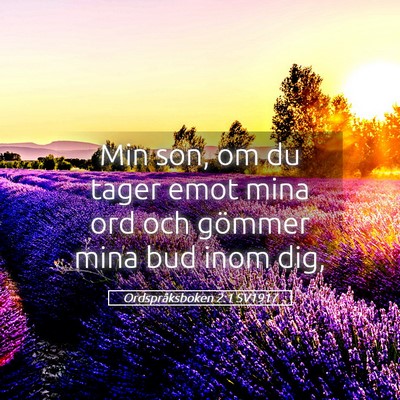 Picture 05 - Ordspråksboken 2:1 SV1917 - Min son, om du tager emot mina ord och gömmer - Bible Verse Picture
