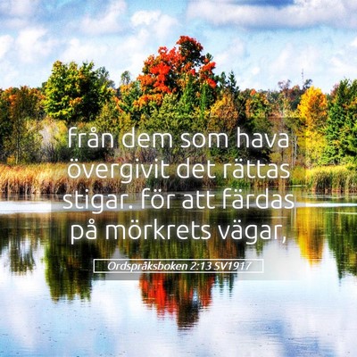 Picture 05 - Ordspråksboken 2:13 SV1917 - från dem som hava övergivit det rättas stigar. - Bible Verse Picture