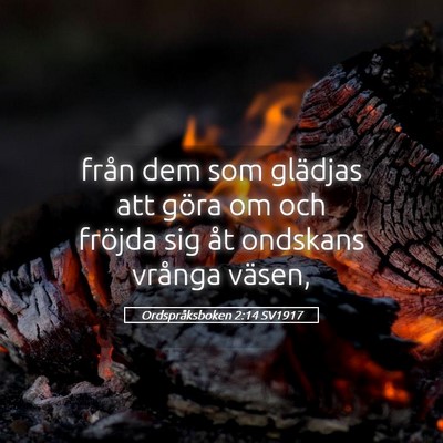 Picture 05 - Ordspråksboken 2:14 SV1917 - från dem som glädjas att göra om och fröjda - Bible Verse Picture